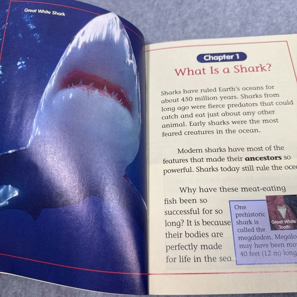 Sharks! by Michael Candelaria;‎ World Discovery Science Readers Homeschool Shark